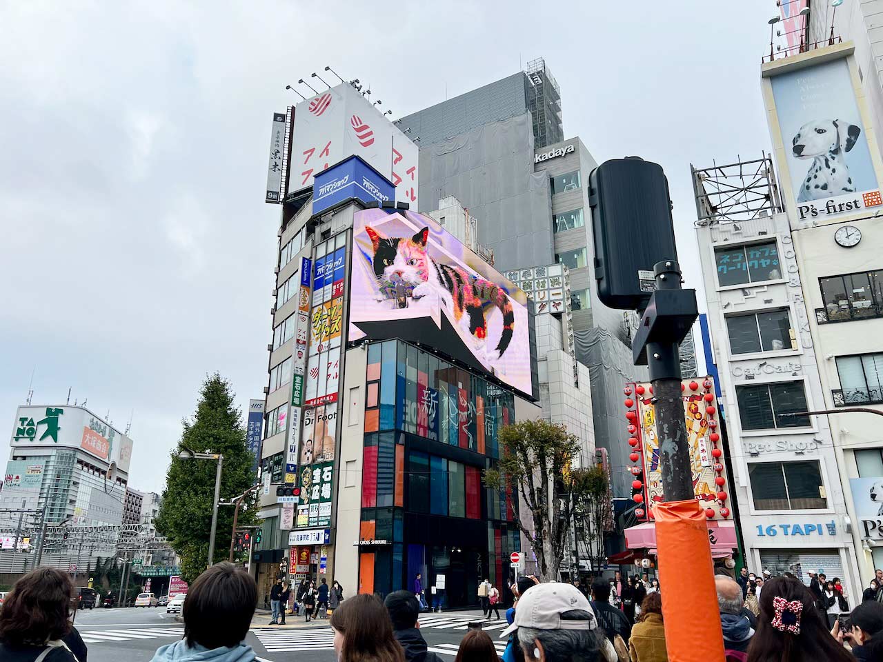 Display Industry Tour from Shenzhen