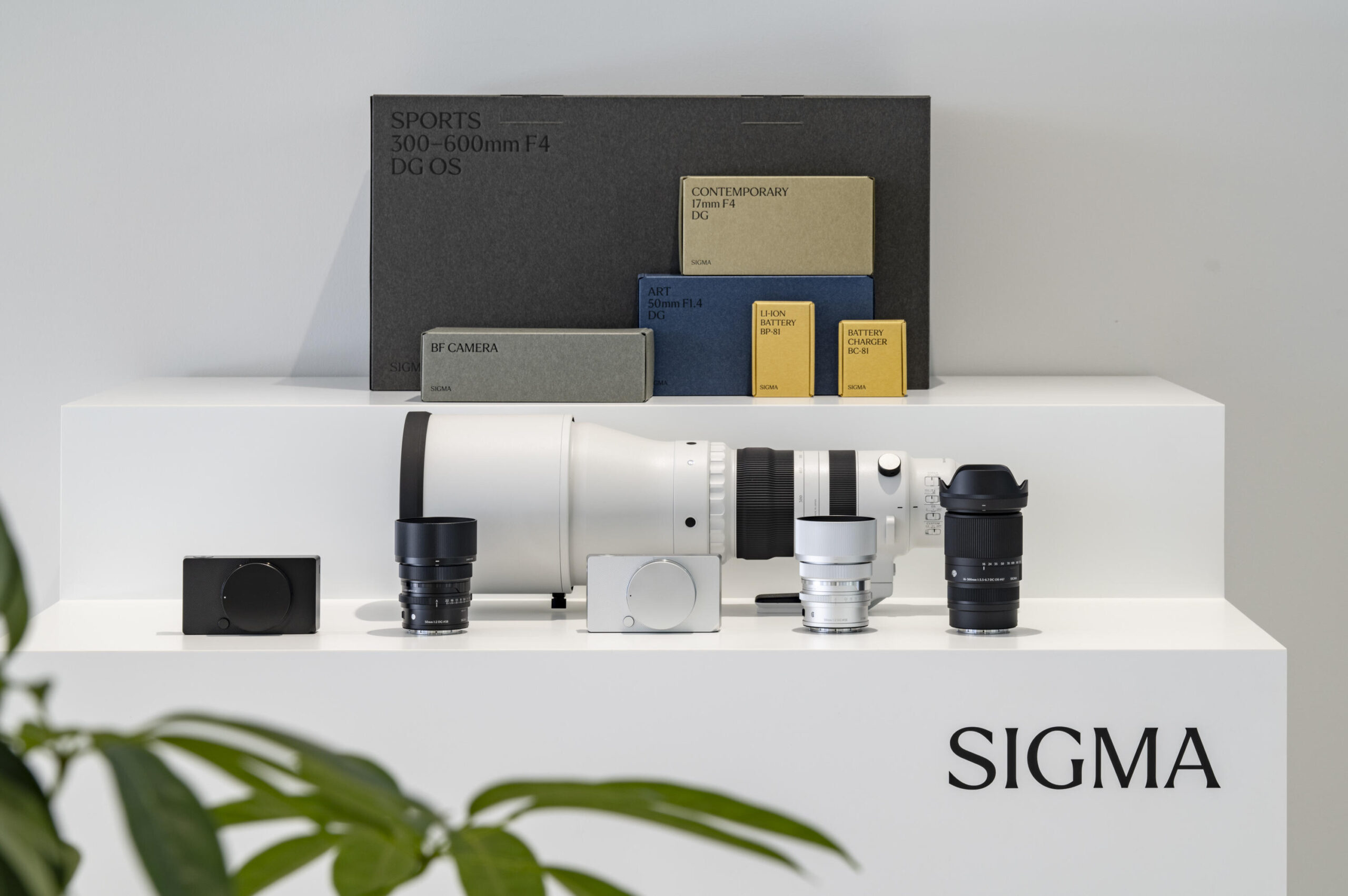 Sigma BF Release Dates Updated